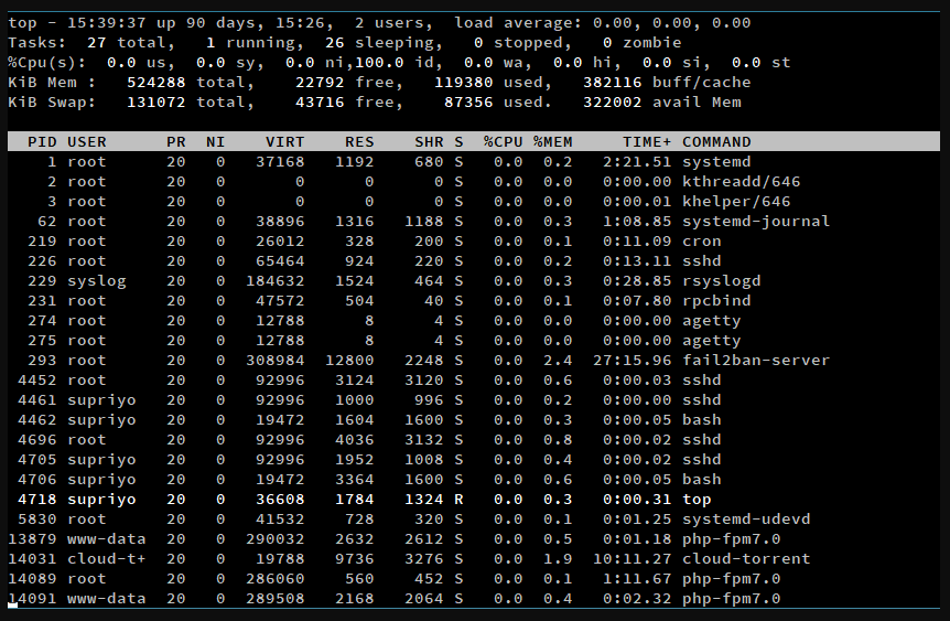 Terminal displaying system processes and resource usage statistics